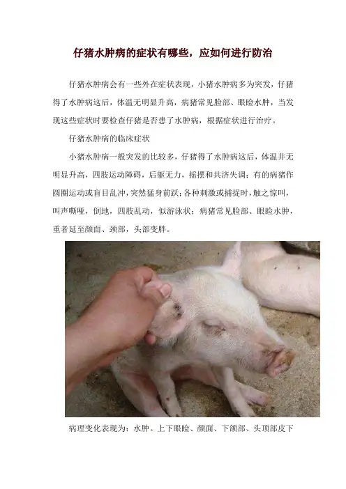 仔猪水肿病的症状有哪些,应如何进行防治