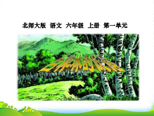 六年级语文上册 白桦林的低语 1课件 北师大