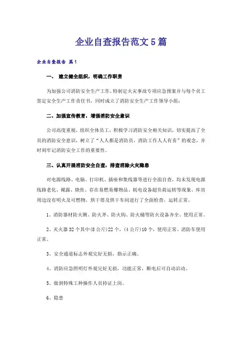 企业自查报告范文5篇_1