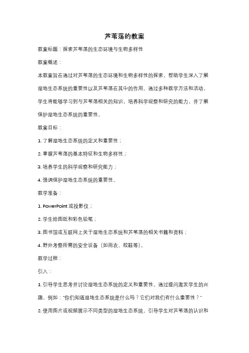 芦苇荡的教案