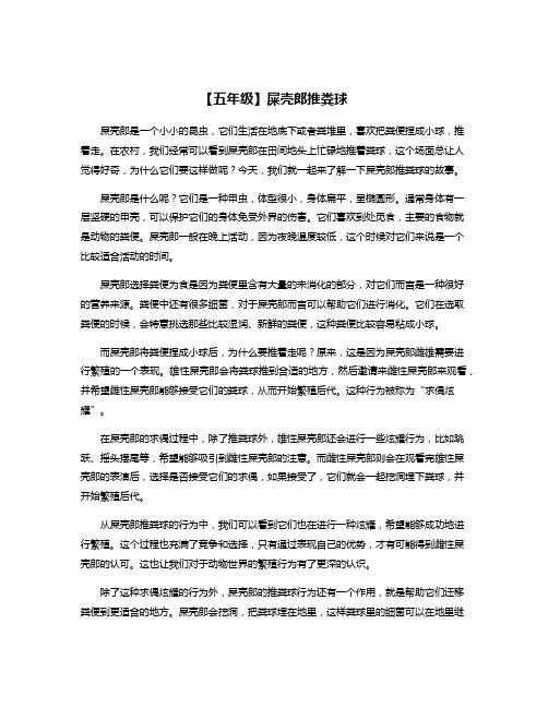 【五年级】屎壳郎推粪球