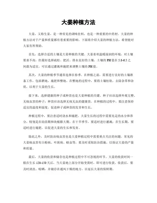 大姜种植方法