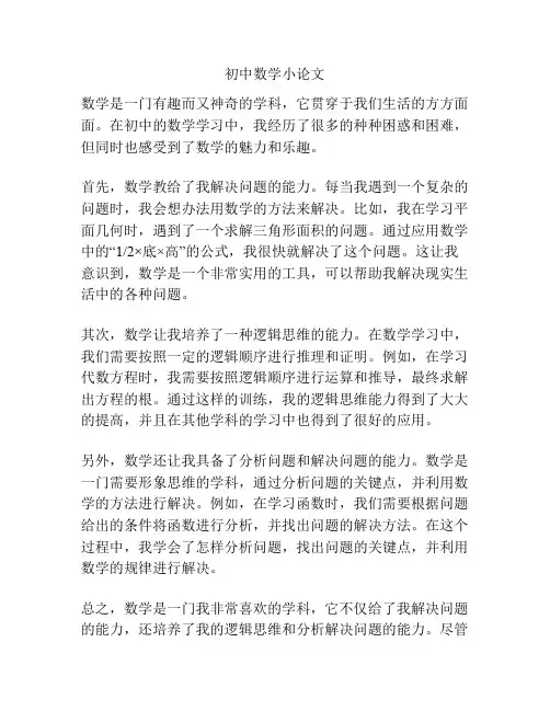 初中数学小论文