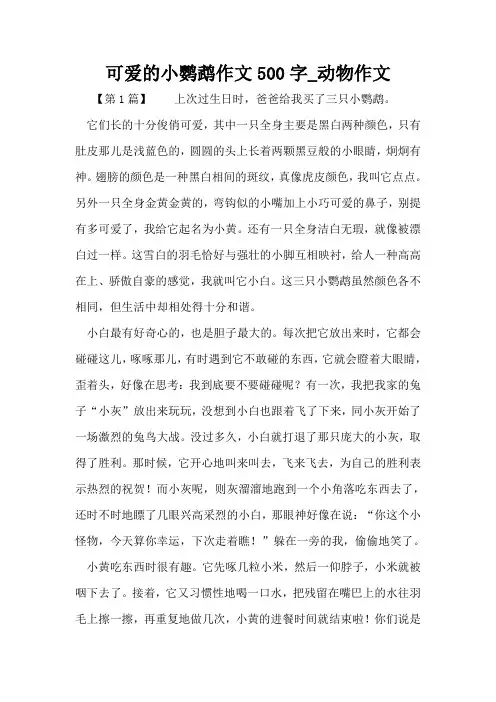 可爱的小鹦鹉作文500字_动物作文