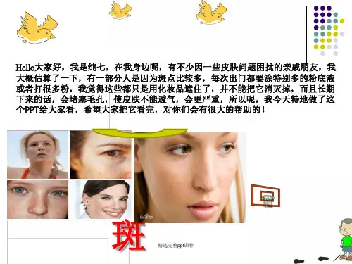 斑点PPT