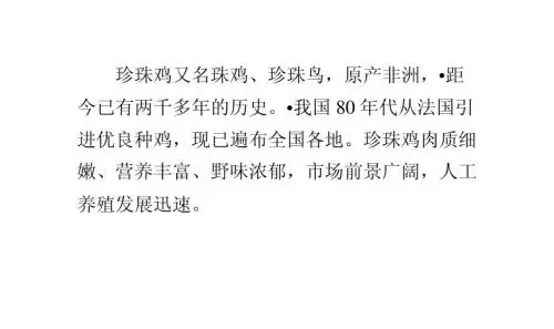 珍珠鸡的饲养技术