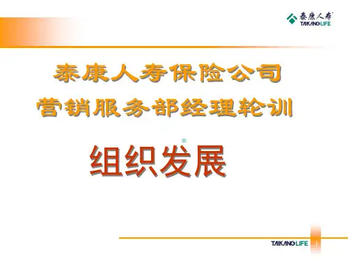 第六组：组织发展TK