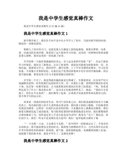 我是中学生感觉真棒作文