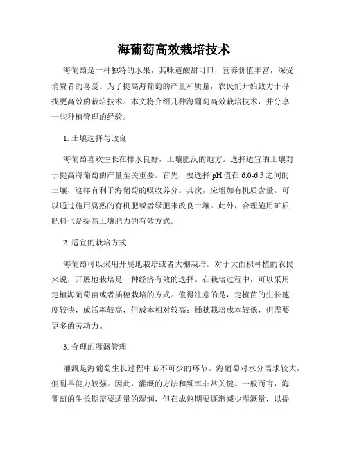 海葡萄高效栽培技术