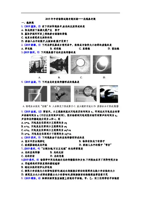 2019年中考物理试题专题训练——光现象专题2(word版含答案)
