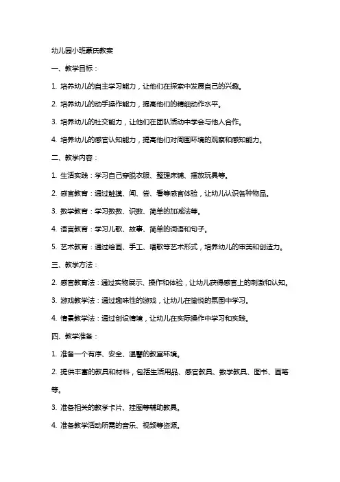 幼儿园小班蒙氏教案