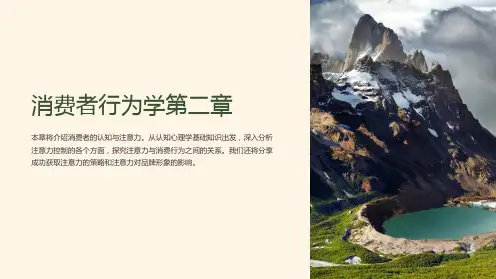 消费者行为学第二章