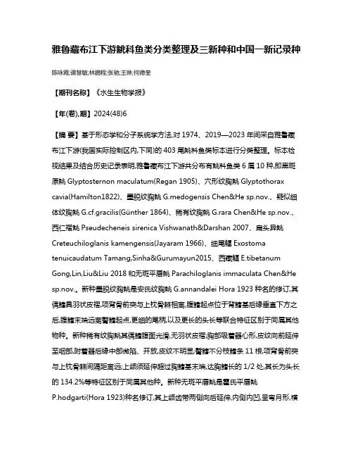 雅鲁藏布江下游鮡科鱼类分类整理及三新种和中国一新记录种
