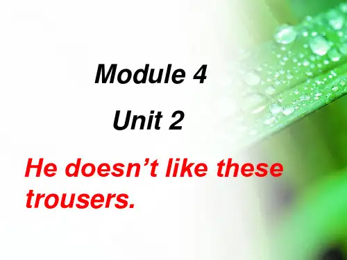 外研版(一起)二年级上册module 4《unit 2 he doesn’t like ...》ppt课件(1)