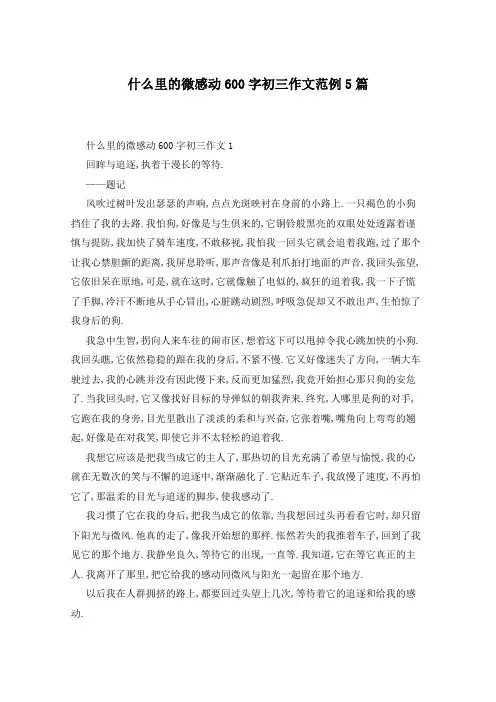 什么里的微感动600字初三作文范例5篇