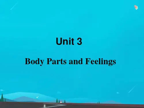 七年级英语上册U3BodyPartsandFeelingsL13BodyParts教学课件