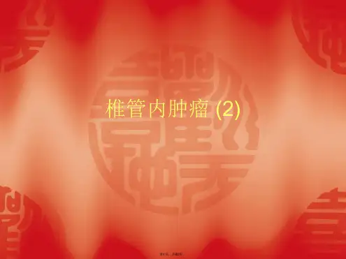 椎管内肿瘤 (2)