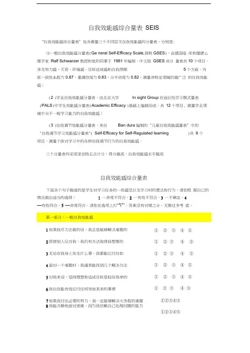 自我效能感综合量表SEIS