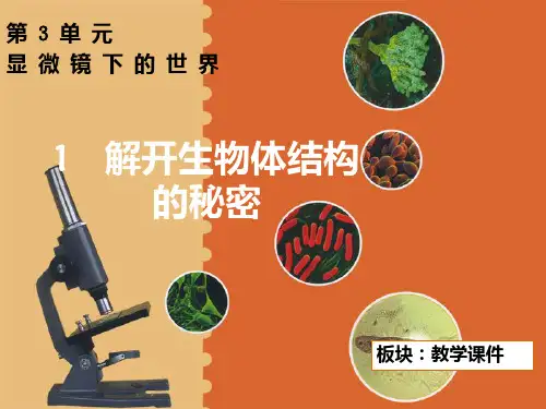 科学五年级下湘教版显微镜下的世界PPT课件