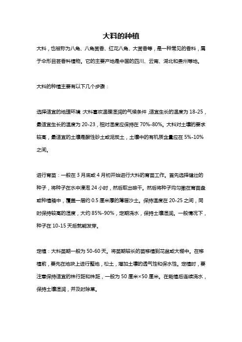 大料的种植