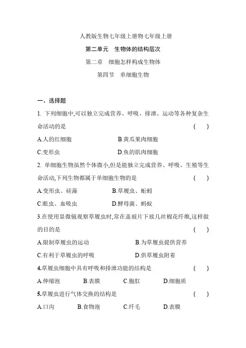 单细胞生物     课堂练习 人教版生物七年级上册