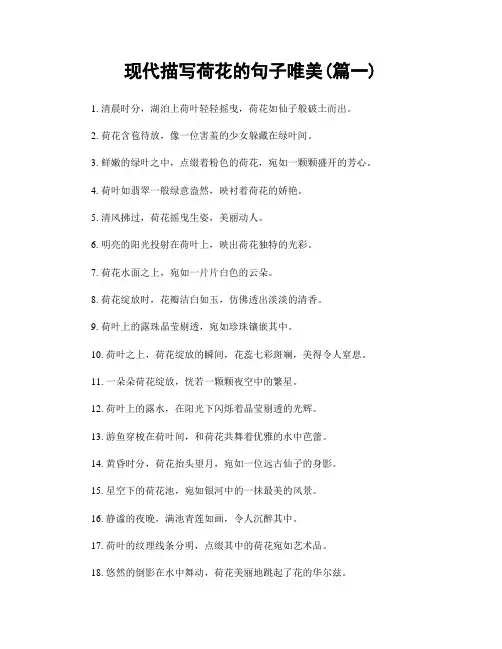 现代描写荷花的句子唯美(精选两篇)