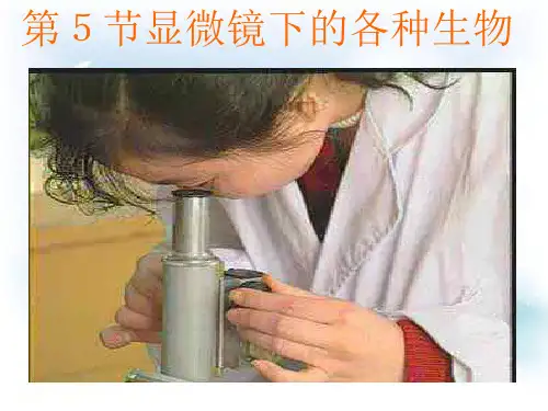 显微镜下的各种生物PPT教学课件