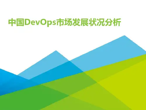 中国DevOps市场发展状况分析