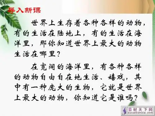 五年级上册《鲸》ppt课件(完整版)