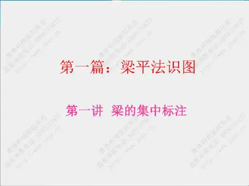 9梁平法识图PPT课件