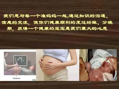 (培训课件)孕早期保健PPT幻灯片