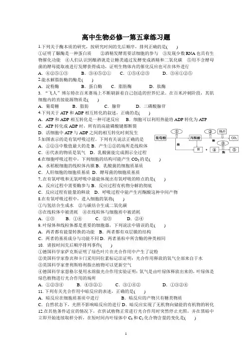必修一第五章生物试题(含答案)