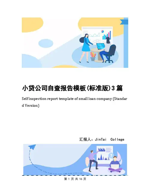 小贷公司自查报告模板(标准版)3篇