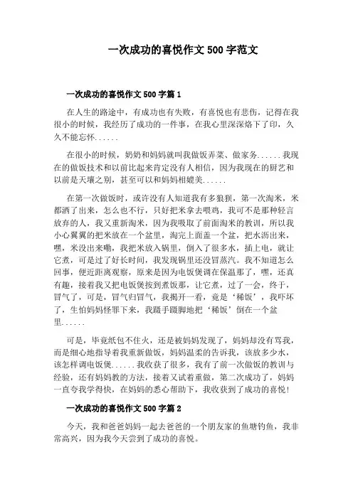 一次成功的喜悦作文500字范文