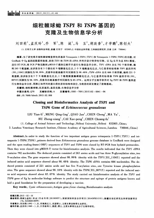 细粒棘球蚴TSP1和TSP6基因的克隆及生物信息学分析