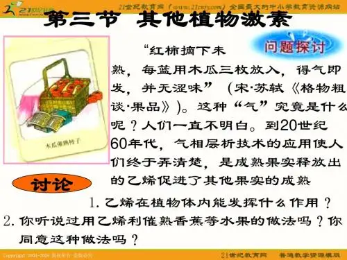 其他植物激素3