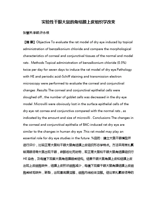实验性干眼大鼠的角结膜上皮组织学改变
