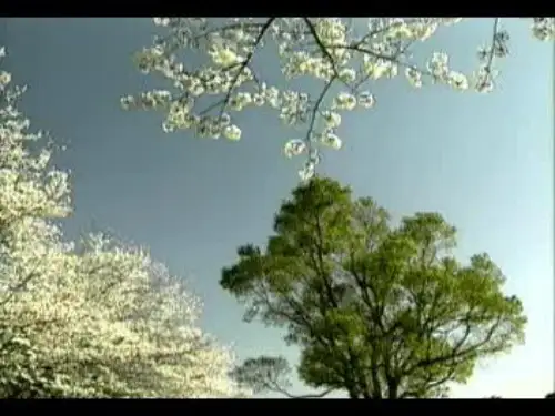 江苏省七年级音乐上册《茉莉花》优质课课件(共14张PPT)