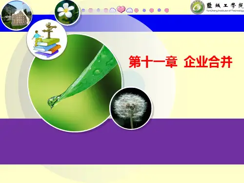 高级财务会计(第二版)课件第十一章  企业合并会计
