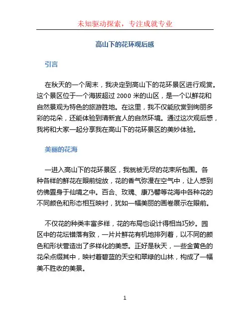 高山下的花环观后感 (2)