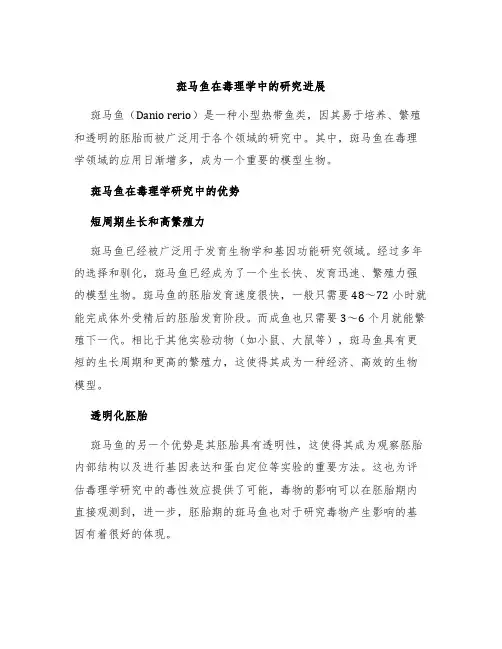 斑马鱼在毒理学中的研究进展