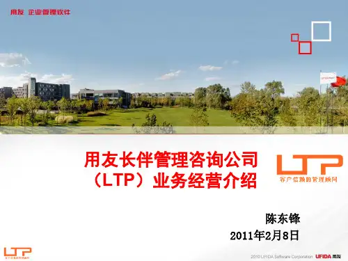 某管理咨询公司LTP业务经营介绍(PPT 17页)