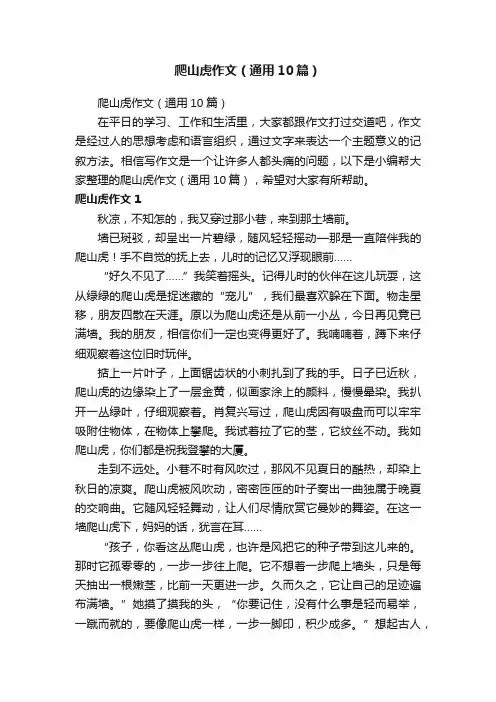 爬山虎作文（通用10篇）