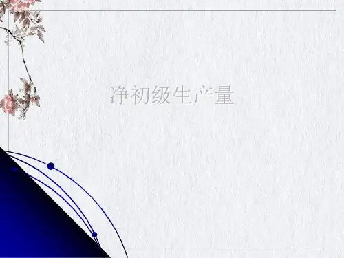 净初级生产量课件ppt