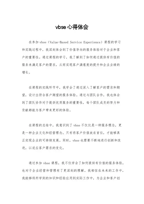 vbse心得体会
