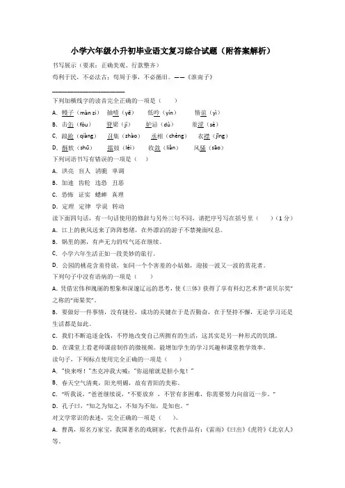 小学六年级小升初毕业语文复习综合试题(附答案解析)
