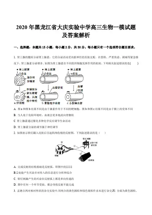 2020年黑龙江省大庆实验中学高三生物一模试题及答案解析