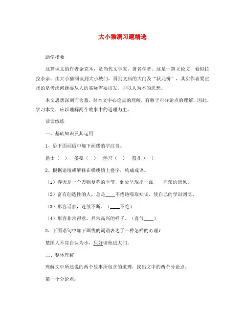 九年级语文上册 第三单元 第11课 大小猫洞习题精选(无答案) 语文版