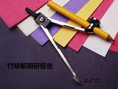 竹蜻蜓调研报告