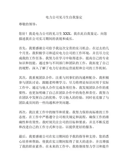 电力公司见习生自我鉴定
